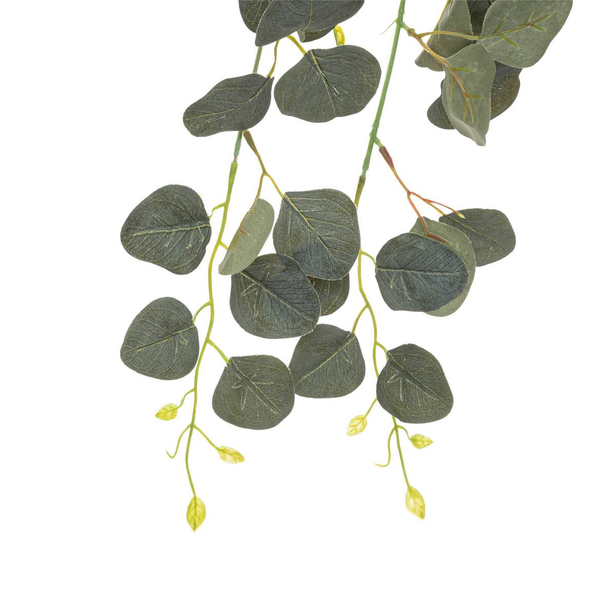 Plante artificielle tombante d'eucalyptus vert, ATMOSPHERA