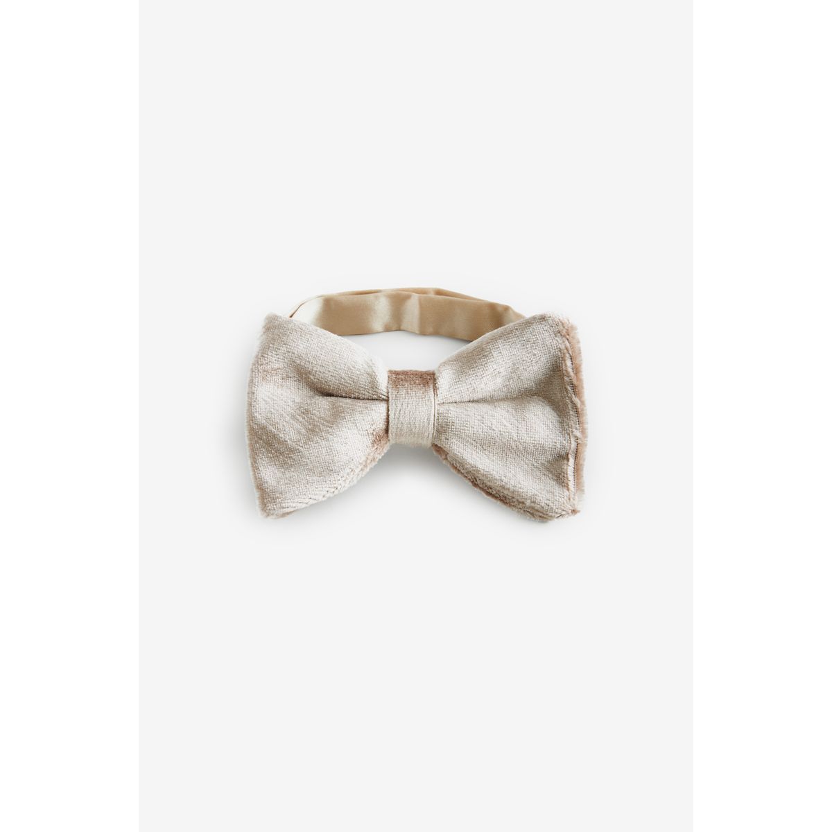 Noeud papillon champagne doré, NEXT
