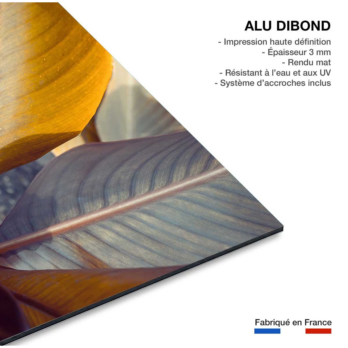 Tableau palm leaves y tableau alu dibond, HEXOA