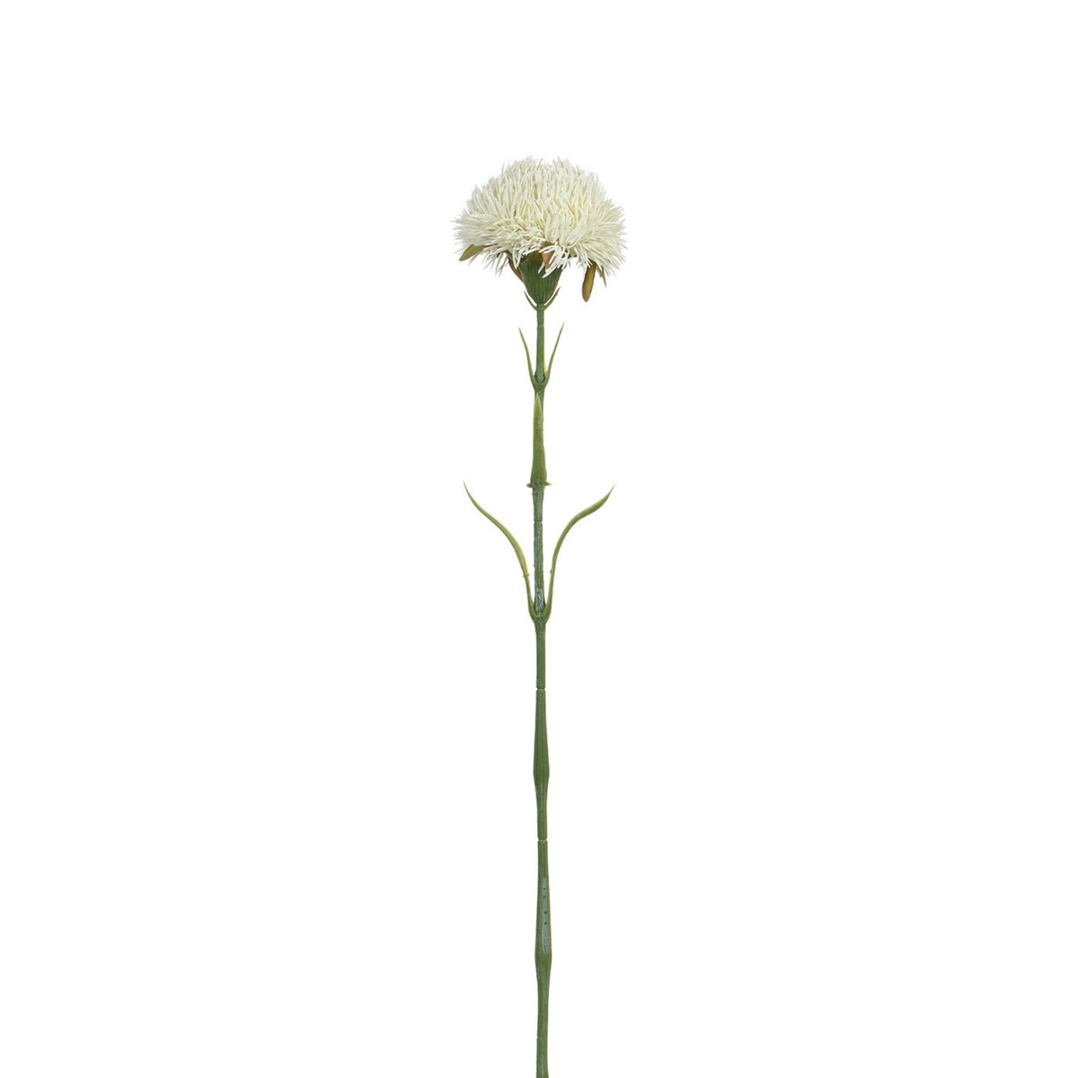 Tige de chardon artificiel H60 LES ESSENTIELS blanc, SIA