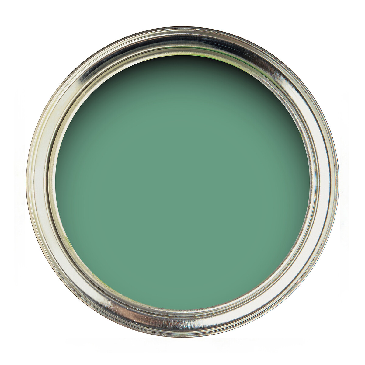 Active Emulsion Paint Hosta Green hosta green, SANDERSON