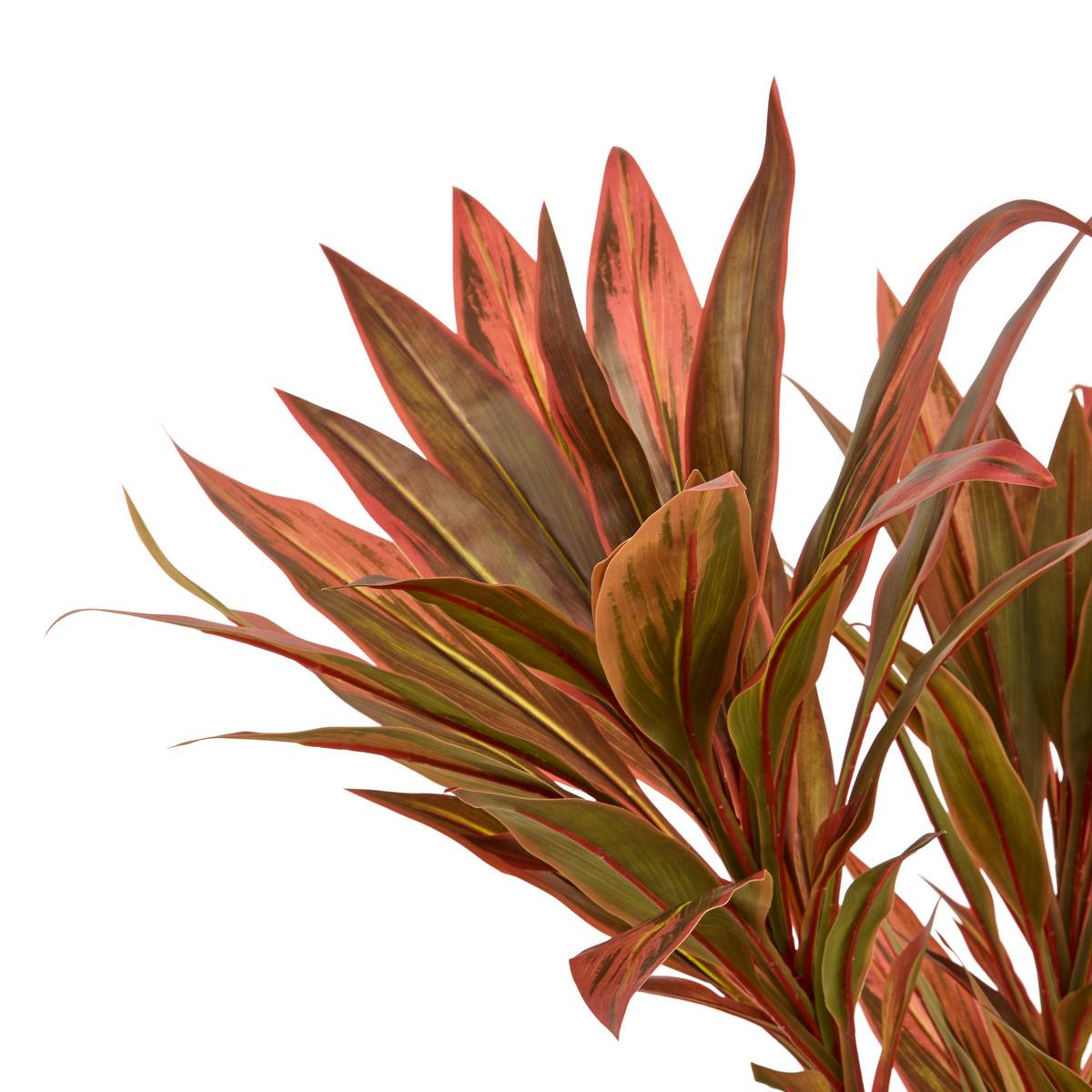 Dracena artificiel EDI rouge, ATMOSPHERA