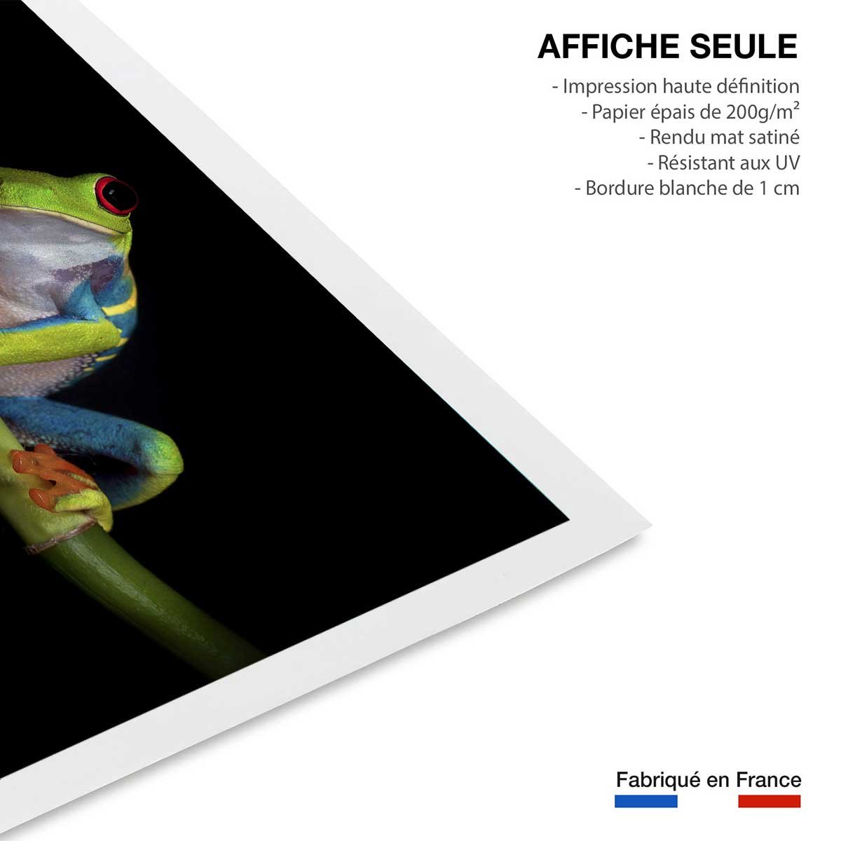 Poster animaux Curiosités affiche seule, HEXOA