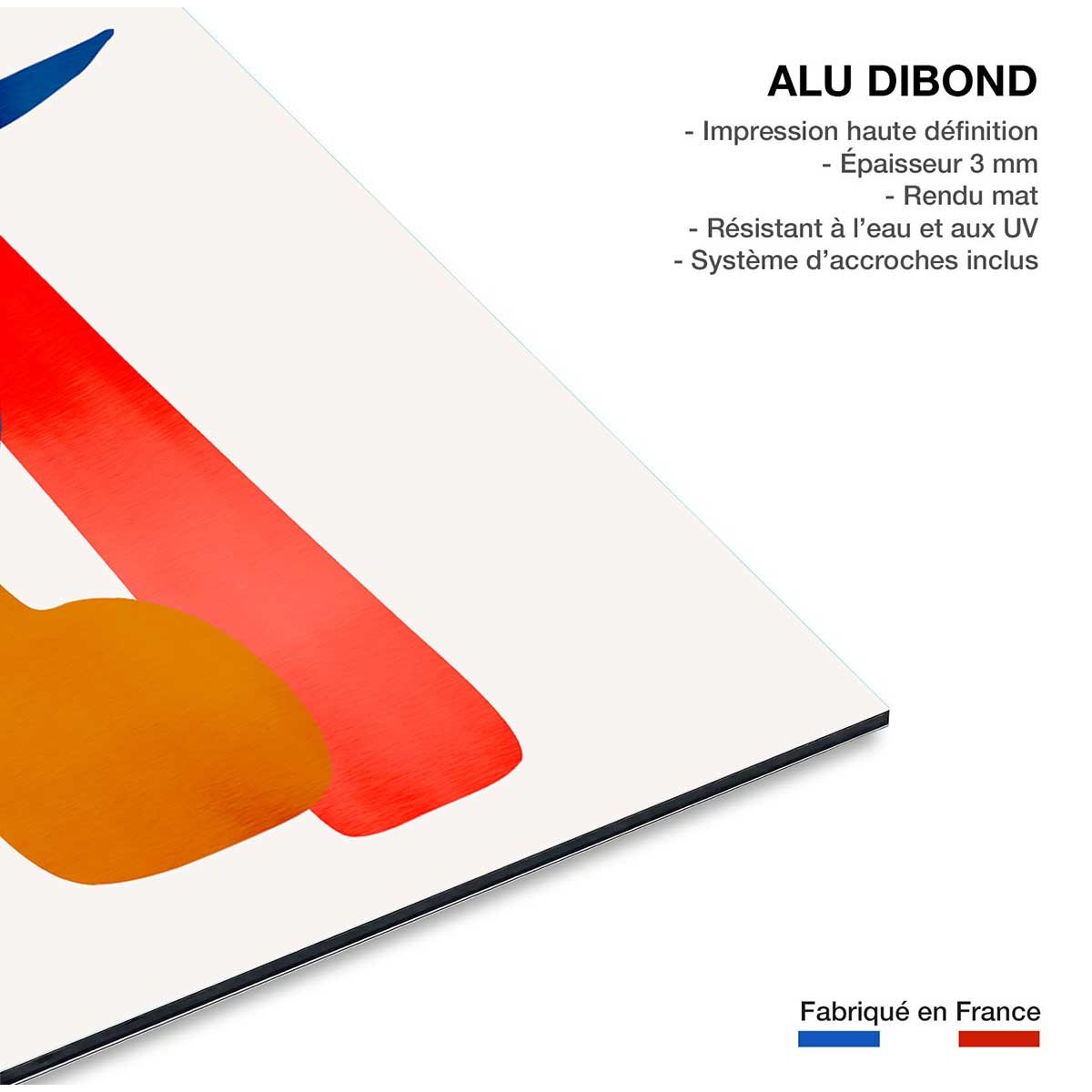 Tableau plante en conte de fee tableau alu dibond, HEXOA