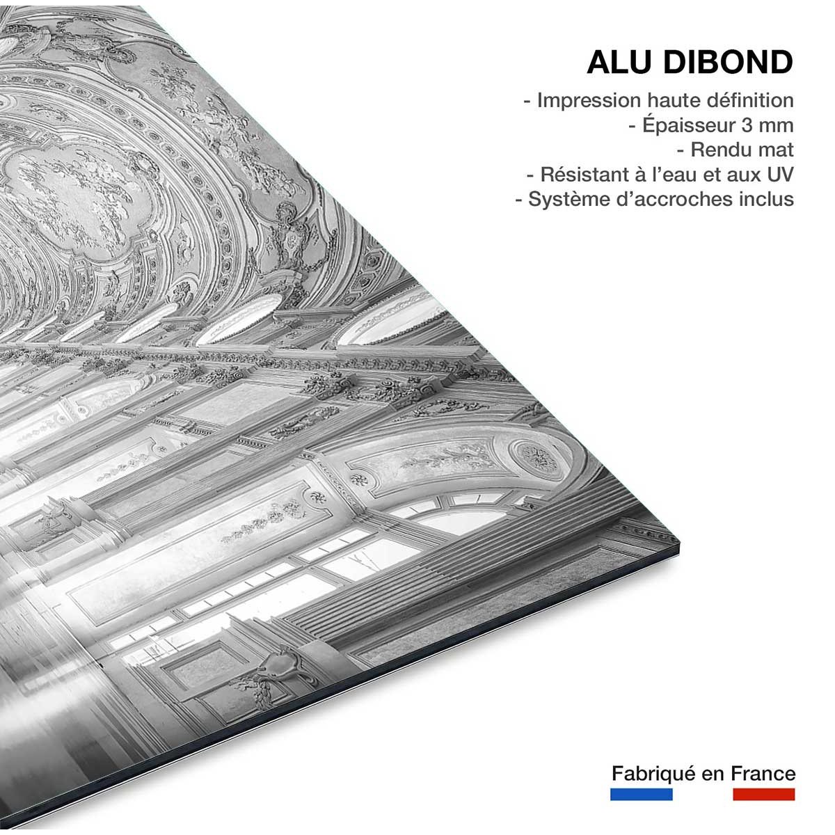 Tableau d'art galerie des glaces tableau alu dibond, HEXOA