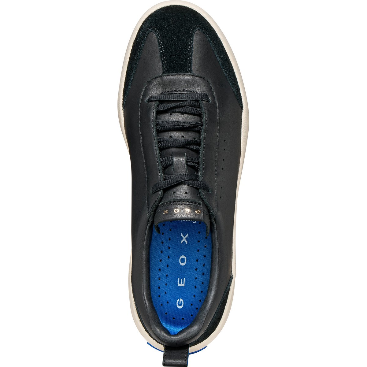 Baskets U GXCP-02 noir, GEOX