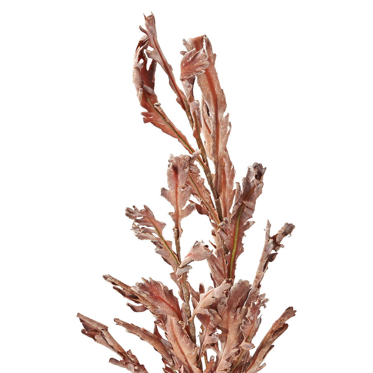 Set of 6 109cm Mulberry Brown Autumn Leaf Stems brown , ÉDITÉ