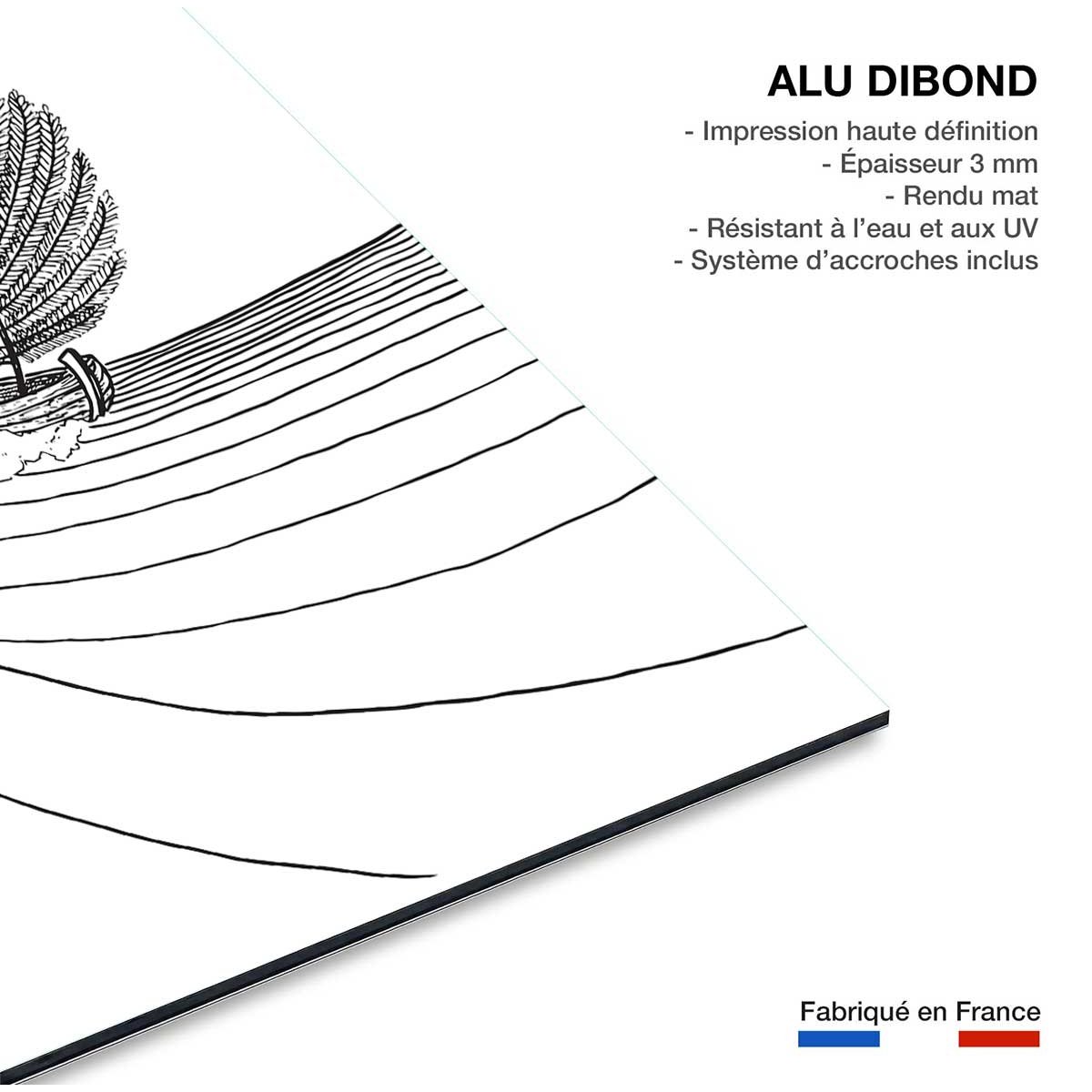 Tableau voilier fougeres tableau alu dibond, HEXOA