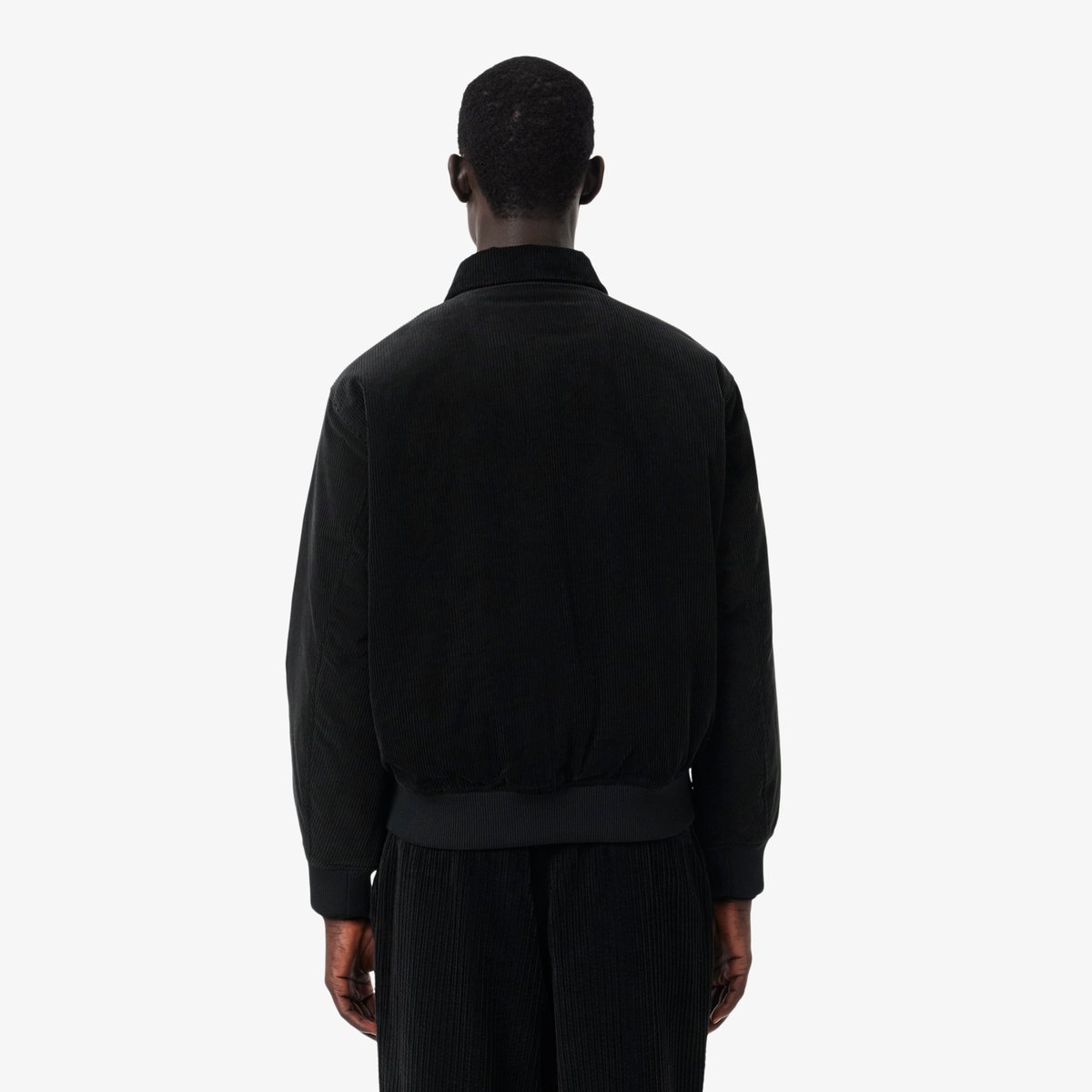 Bomber rembourré velours côtelé noir-031, LACOSTE