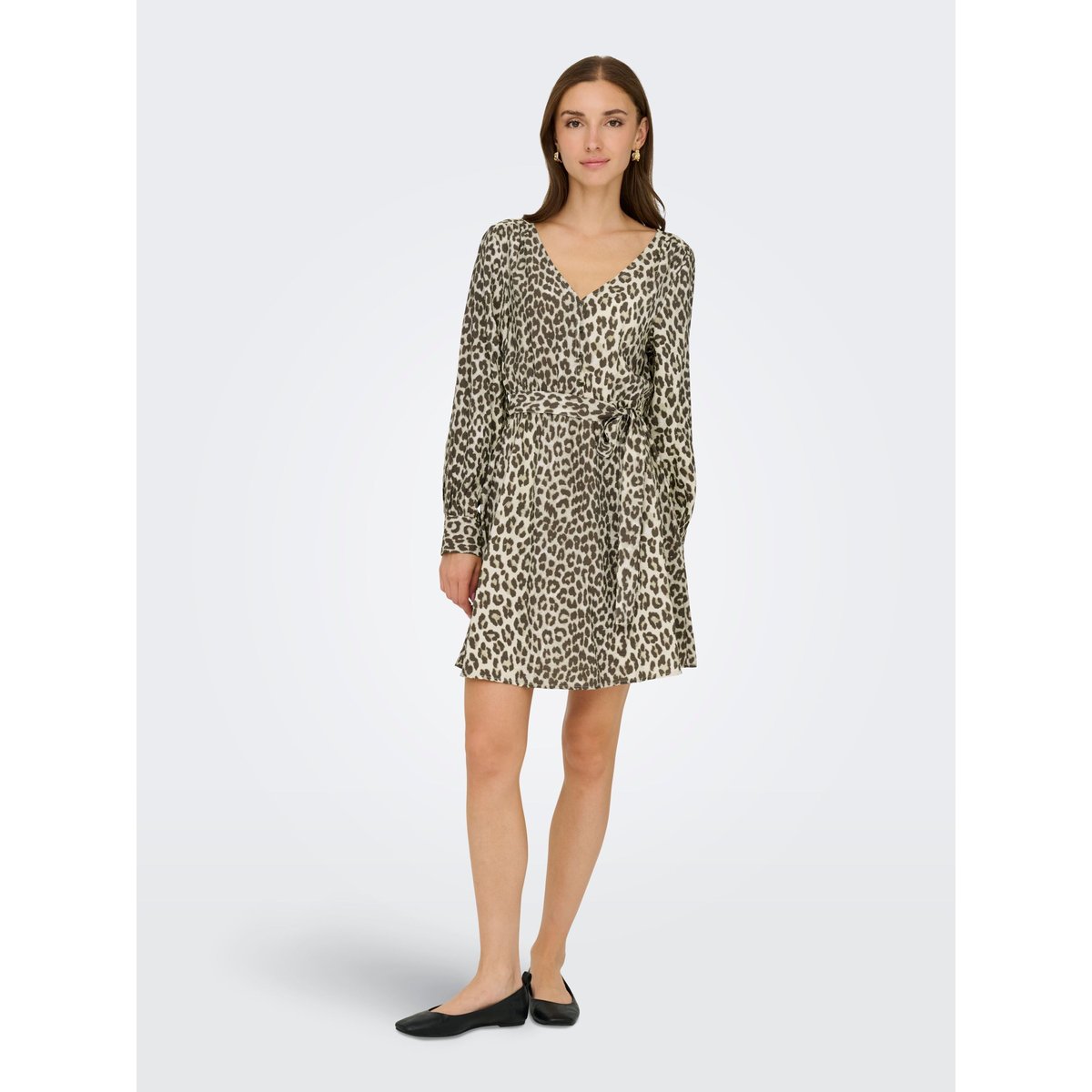 Robe birch, JDY