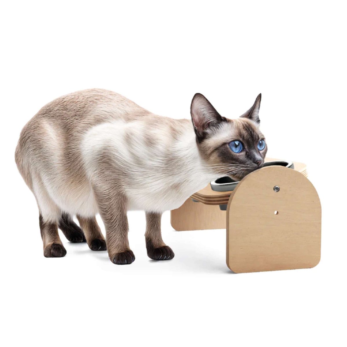 Gamelle double surélevée pour chat et chien Almo Dinner beige, MAMAPETZ