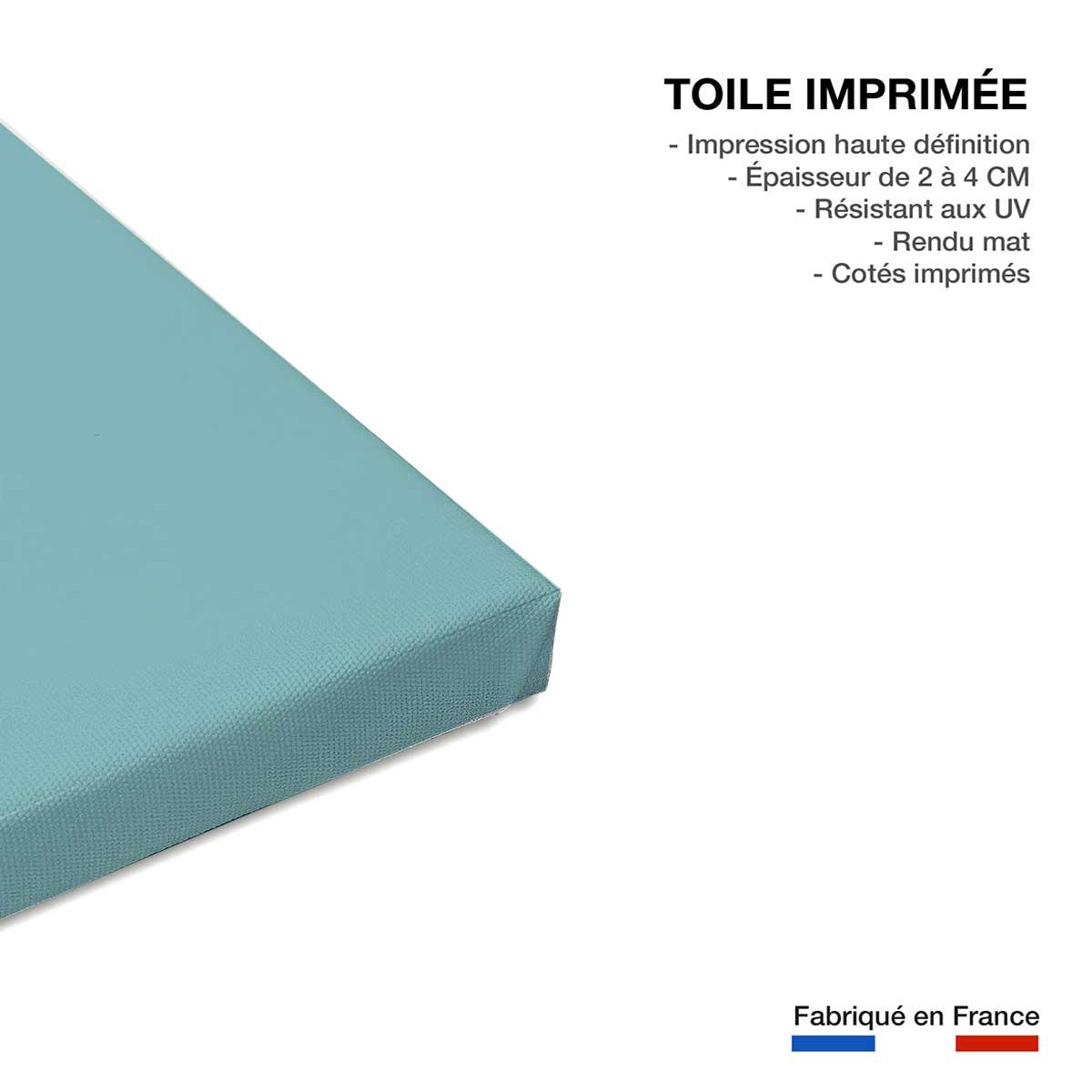 Tableau happy milk ! toile imprimée, HEXOA