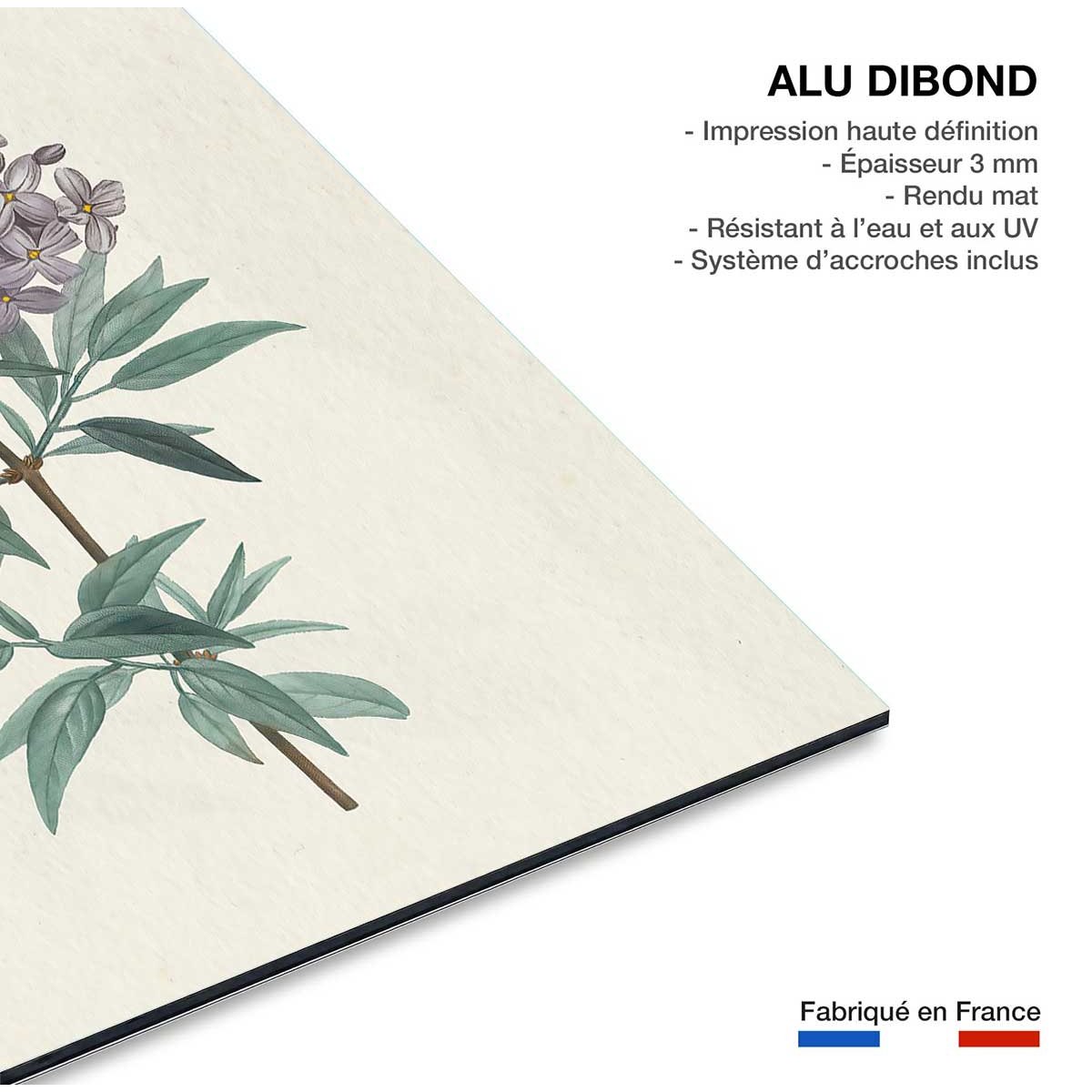 Tableau fleurs Gravure de Lilas vintage tableau alu dibond, HEXOA