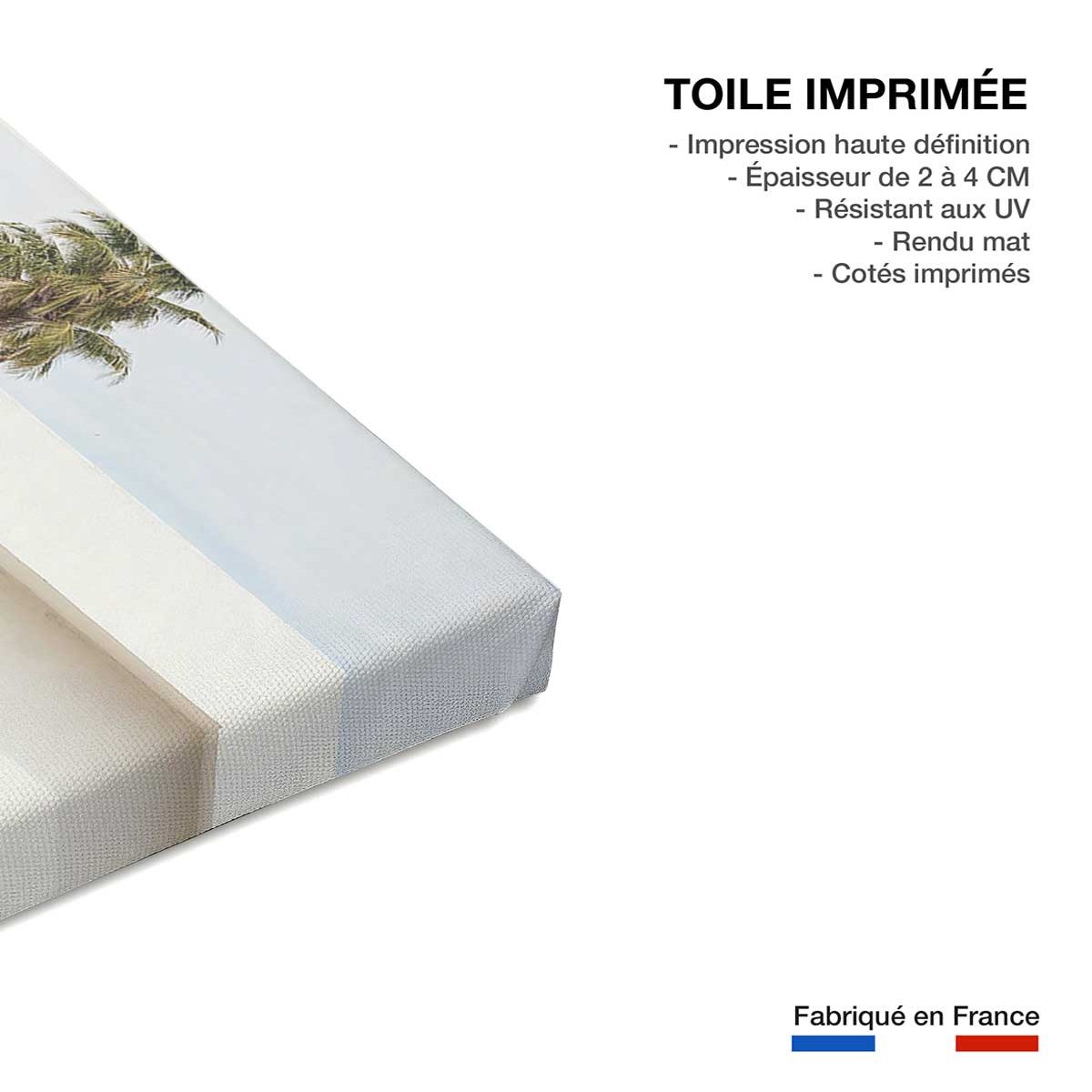 Tableau architecture maison californienne 50s toile imprimée, HEXOA