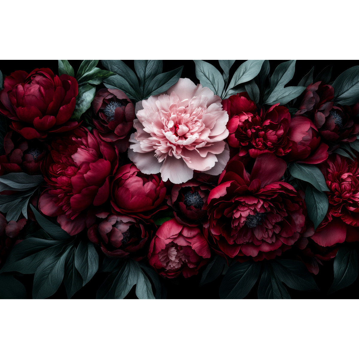 Tableau Sur Toile Roses Élégantes CHARME ROMANTIQUE tableaux sur toile-rose, CEANOTHE