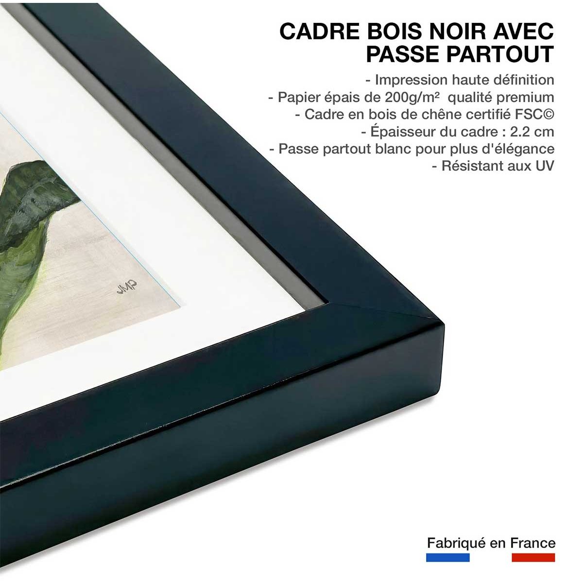 Poster Sanseveria aquarelle affiche + cadre en bois - noir, HEXOA
