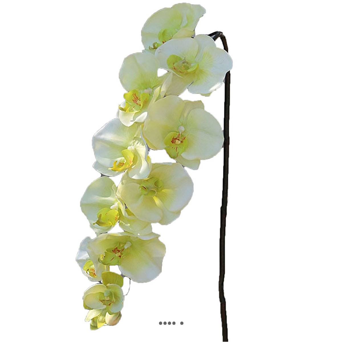 Superbe tige d'orchidée artifici crème vert, ARTIFICIELLES