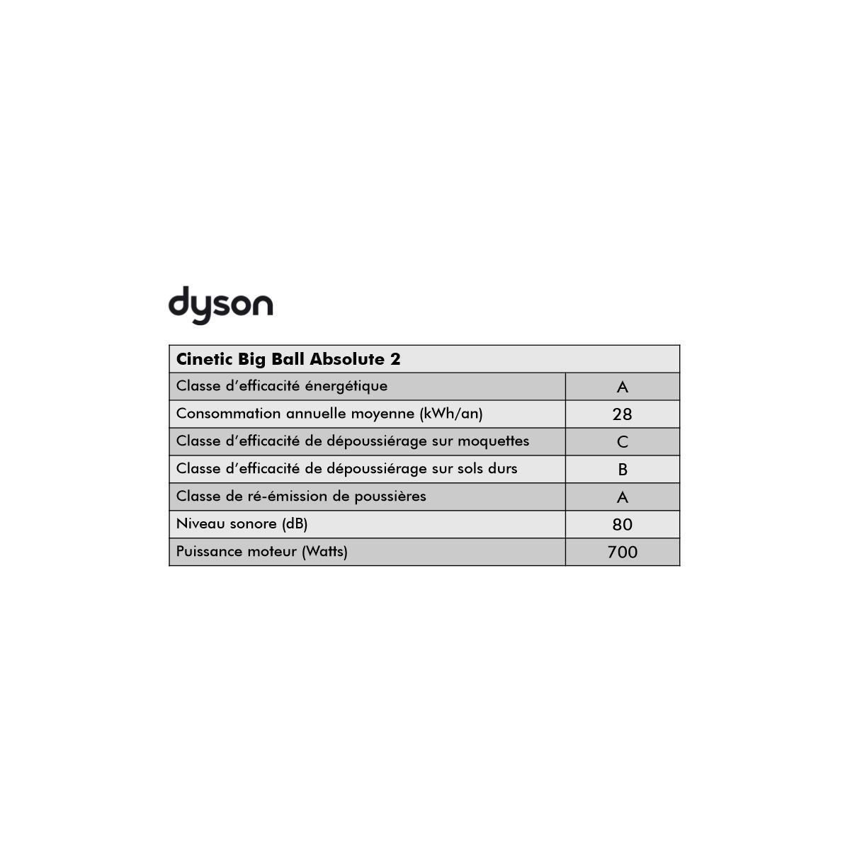 Aspirateur sans sac Cinetic Big Ball Absolute 2 gris, DYSON