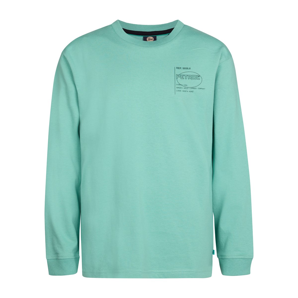 T-shirt à imprimé arrière shenandoah bleu pale aqua, PETROL INDUSTRIES