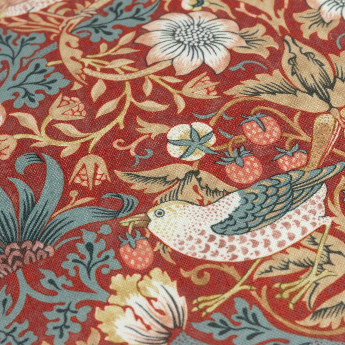 Strawberry Thief Piped Indoor/Outdoor Cushion multi-coloured, MORRIS & CO.