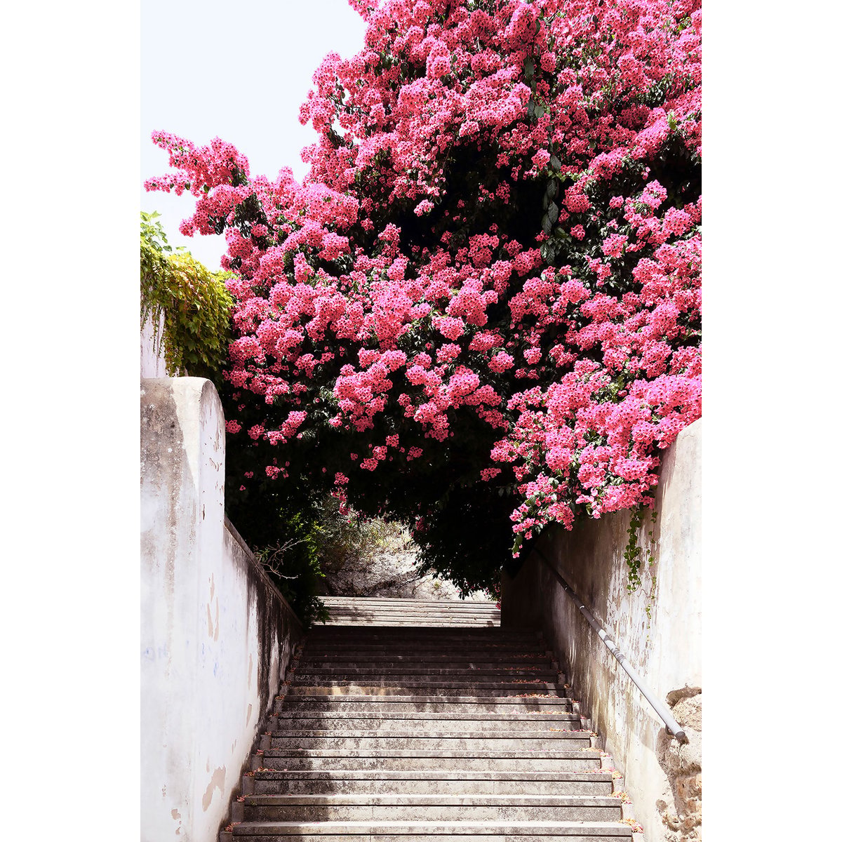 Tableau welcometoportugal secret street tableau alu dibond, HEXOA