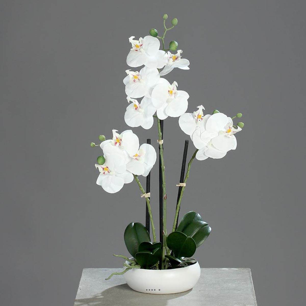 Orchidee factice 3 hampes en coupe ceramique crème, ARTIFICIELLES