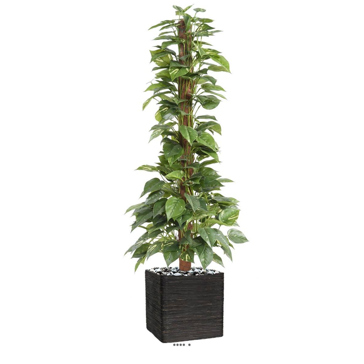 Pothos artificiel sur tuteur en pot vert, ARTIFICIELLES
