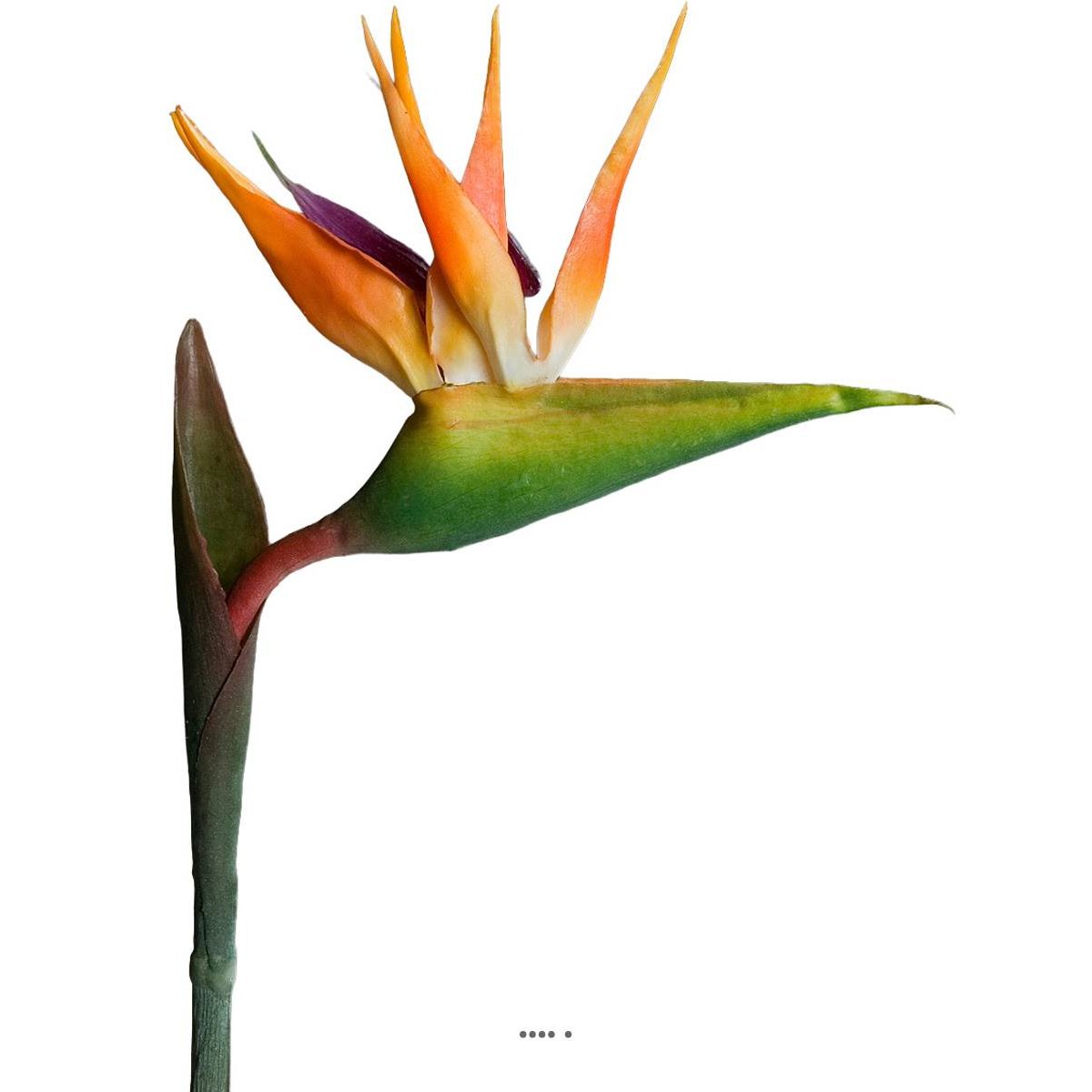 Strelizia Arabica artificiel H 80 cm oiseau v002239, ARTIFICIELLES