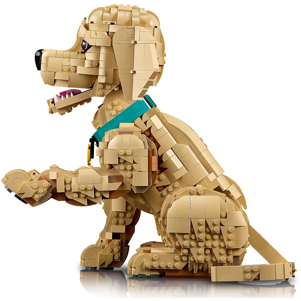 LEGO Icons - Le chiot Golden Retriever - 11384 beige, LEGO