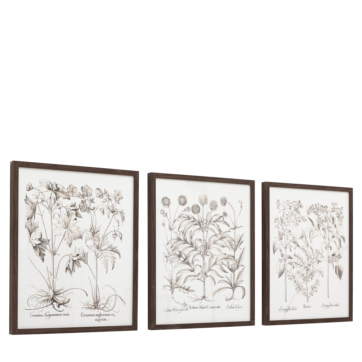 Set of 3 Evergreen Framed Art black, ÉDITÉ