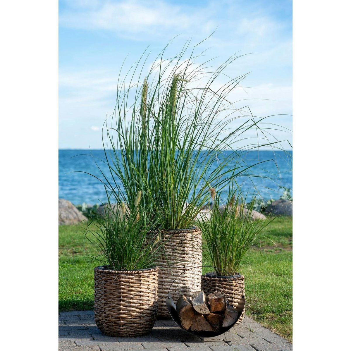 Cache-pot rond fibre naturelle tressée (lot de 3) beige, PIER IMPORT