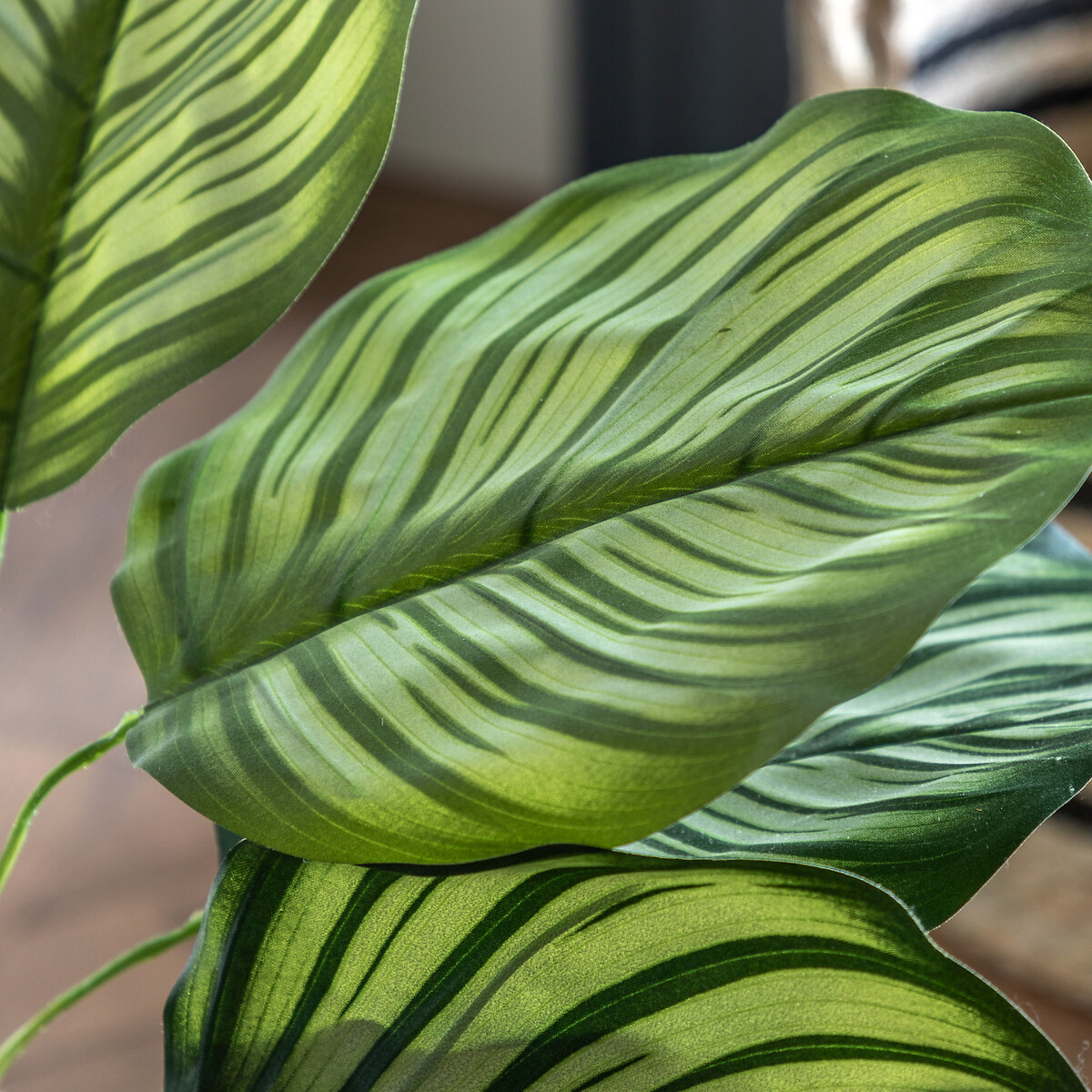 4ft Potted Calathea Leaf Tree green, ÉDITÉ