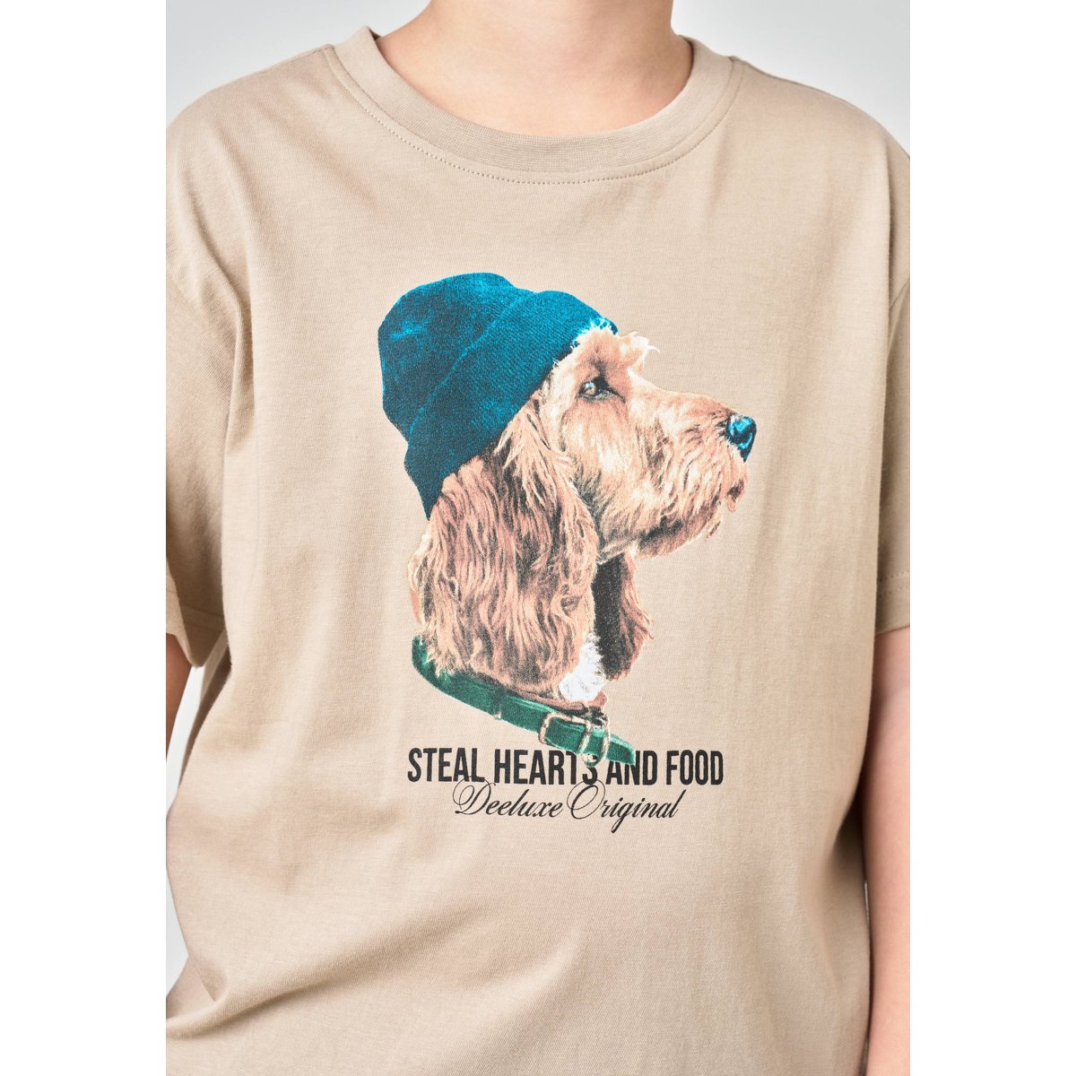 T-shirt garçon en jersey 100% coton imprimé chien stylisé DOOD dune, DEELUXE