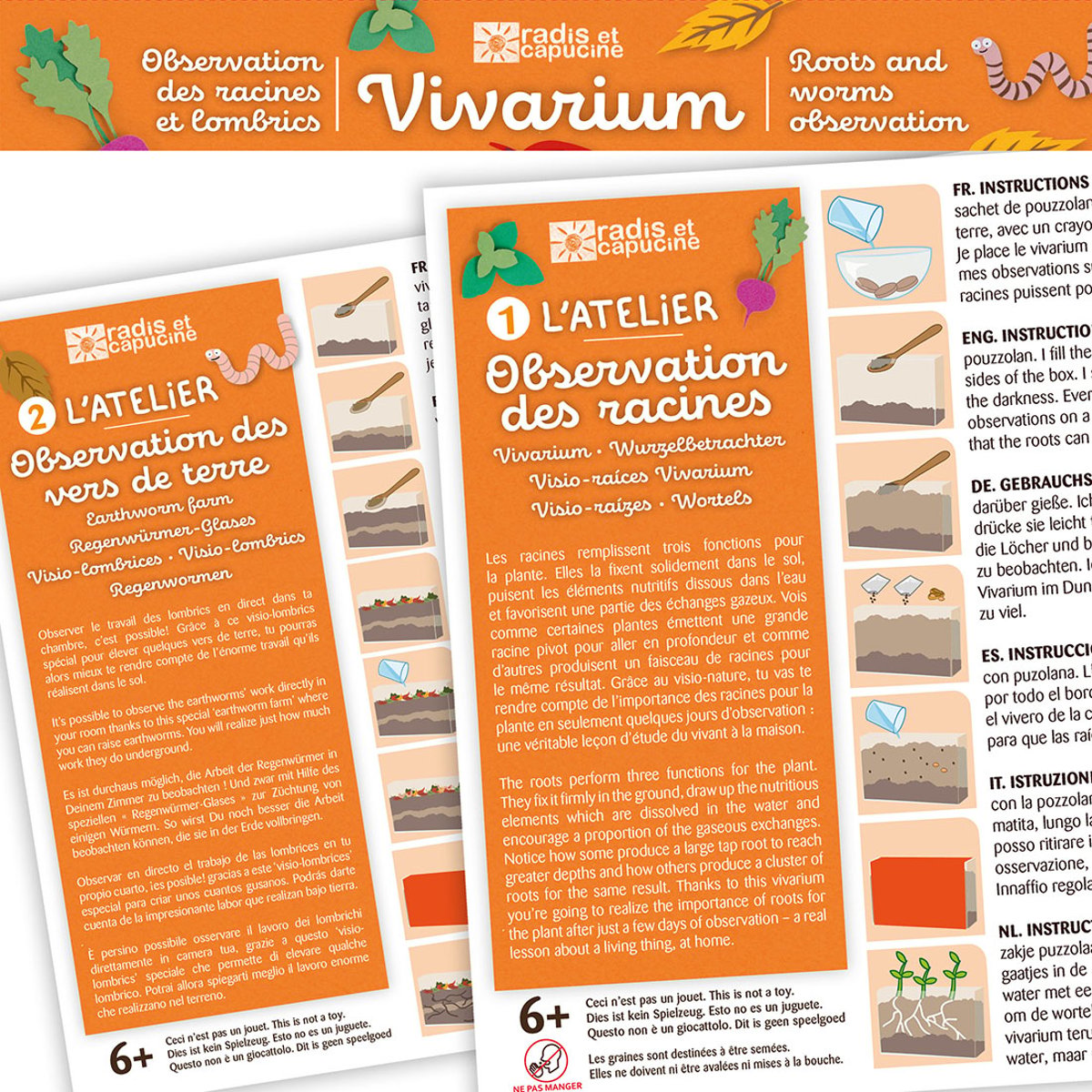 Vivarium Observation racines et vers de terre marron, RADIS ET CAPUCINE
