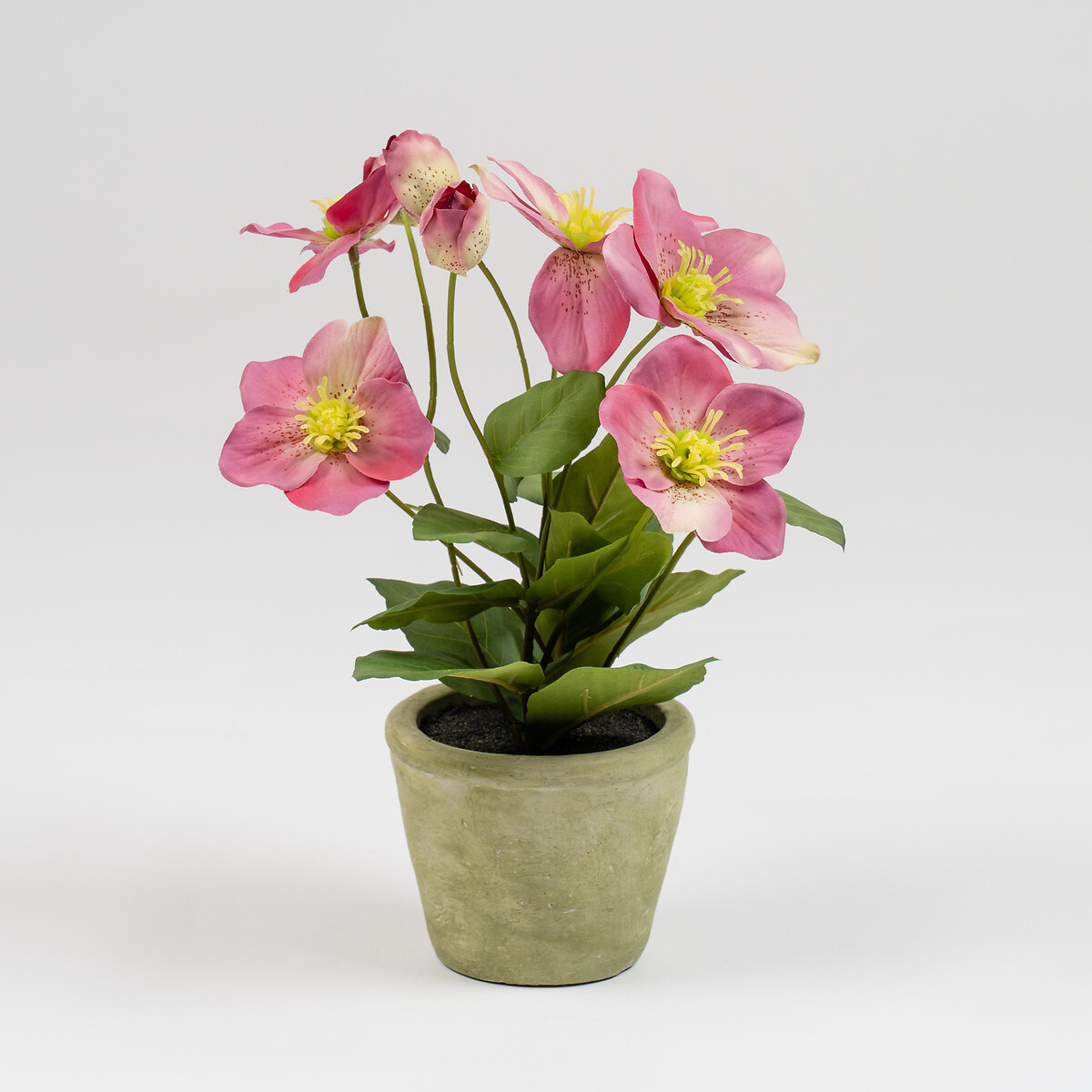 34cm Artificial Hellebore Pink in Terracotta Pot pink, SO'HOME