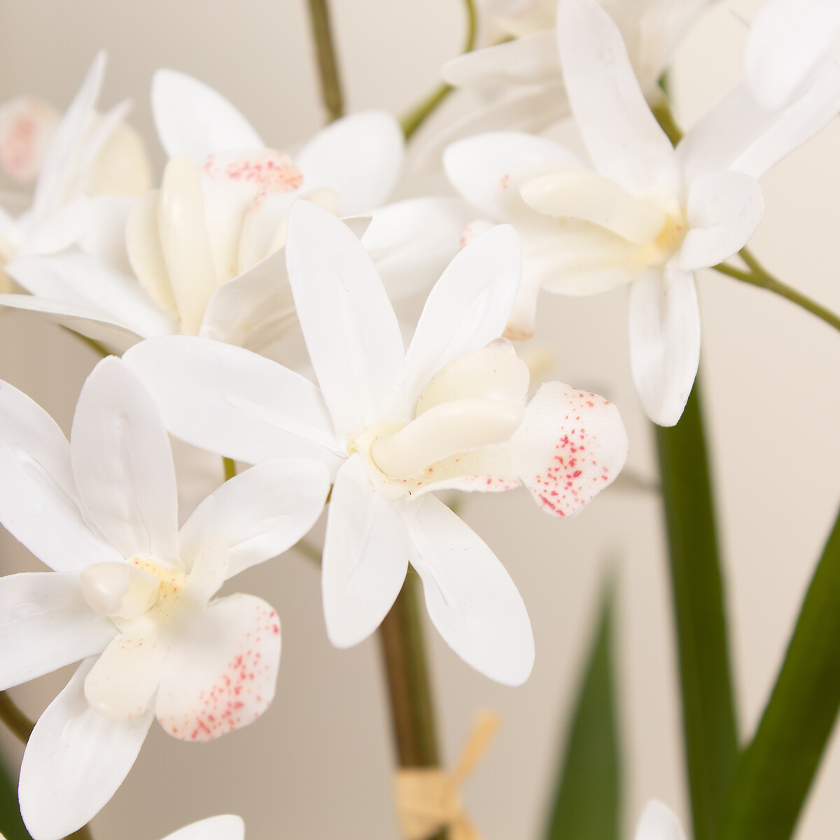 61cm Artificial White Mini Cymbidium Orchid in Pot white, SO'HOME