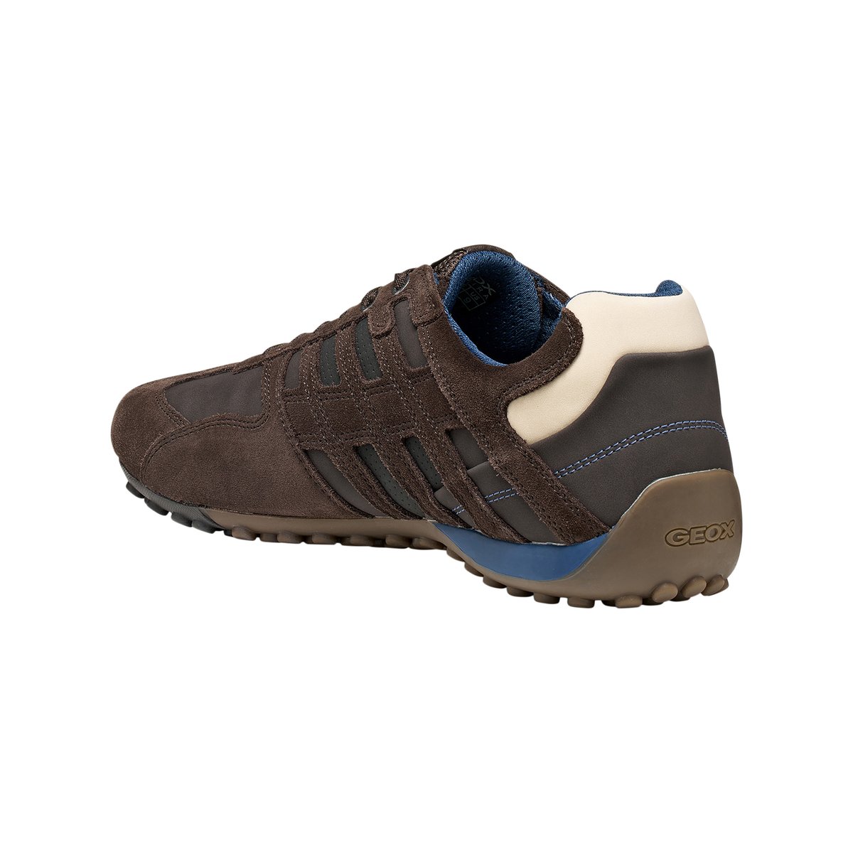 Basket Cuir U Snake L Scam chocolat/noir, GEOX