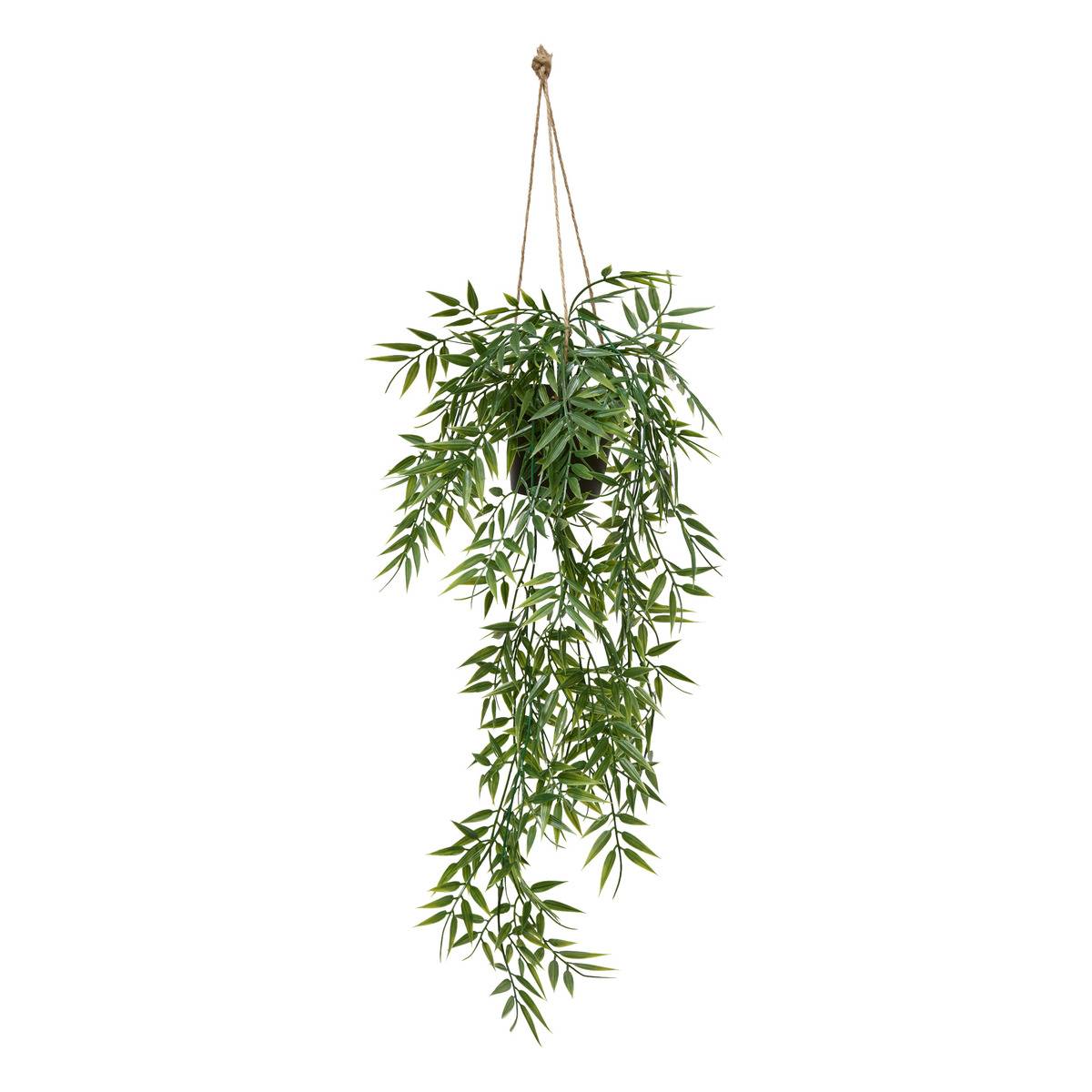 Plante suspendue LIORA vert, ATMOSPHERA
