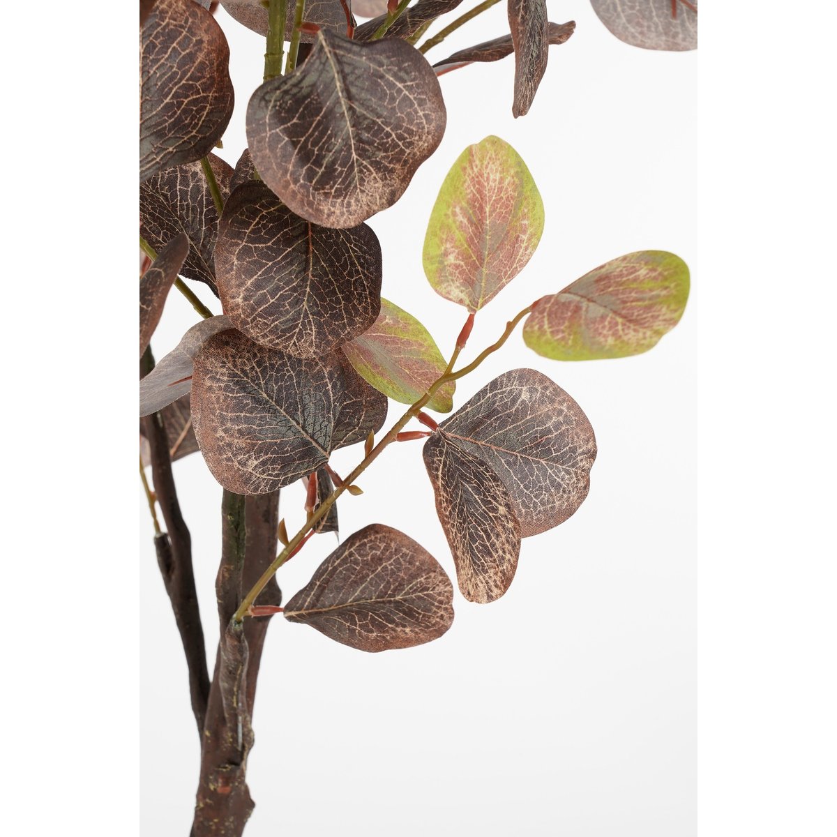 Plante artificielle d’eucalyptus H180 cm bronze, MICA DECORATIONS
