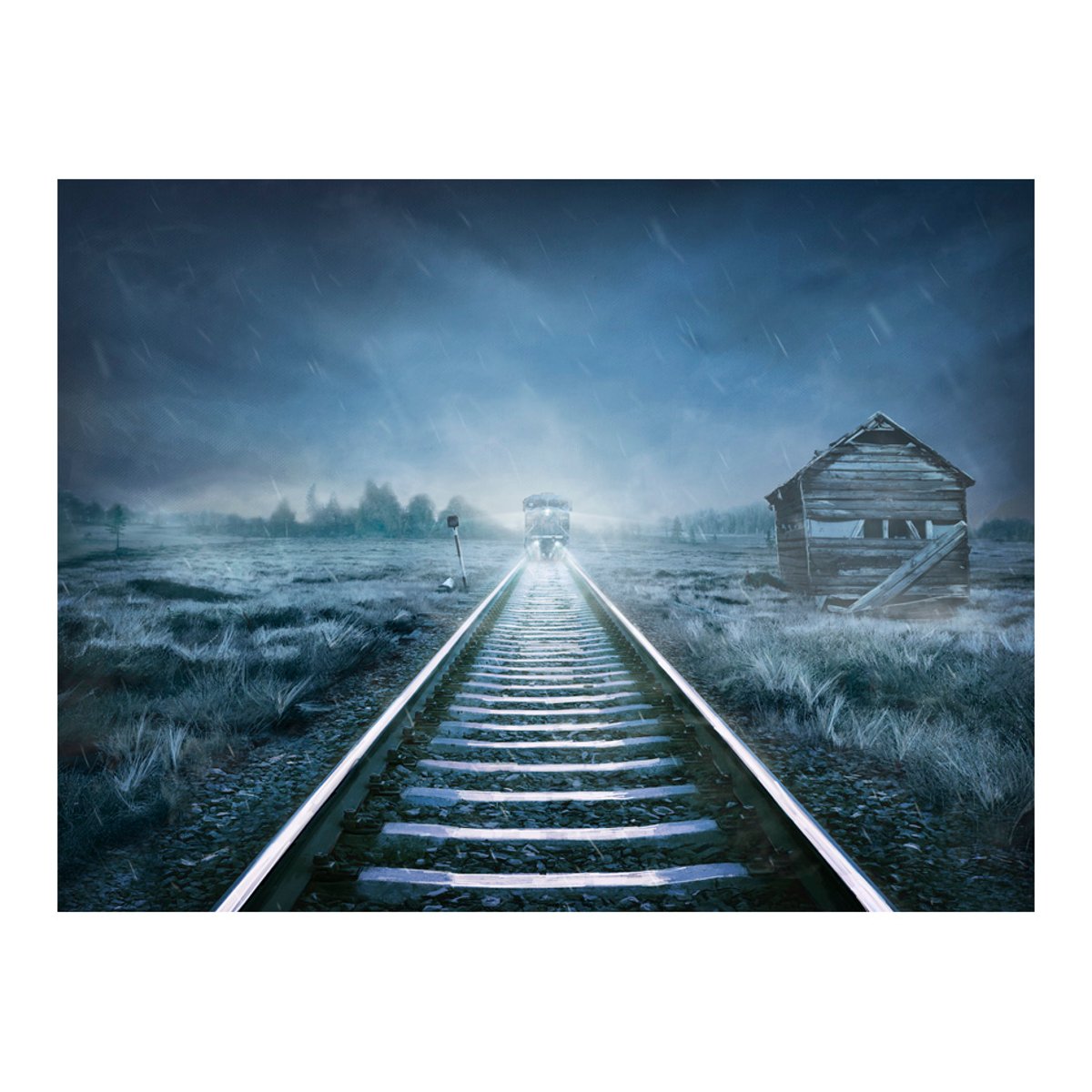 Papier peint intissé panoramique Fantaisie Le train fantôme blanc, EDEN