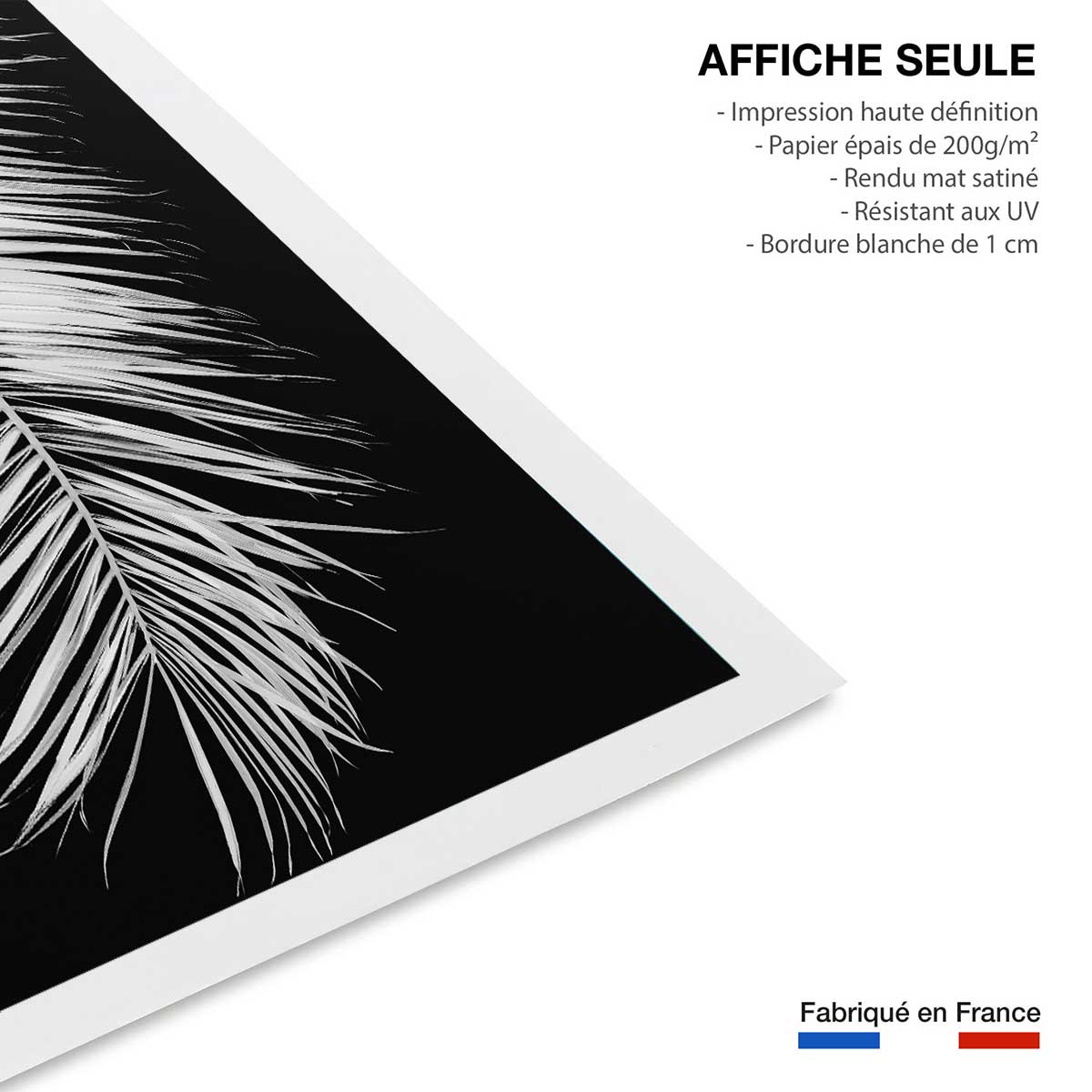 Poster palme x affiche seule, HEXOA