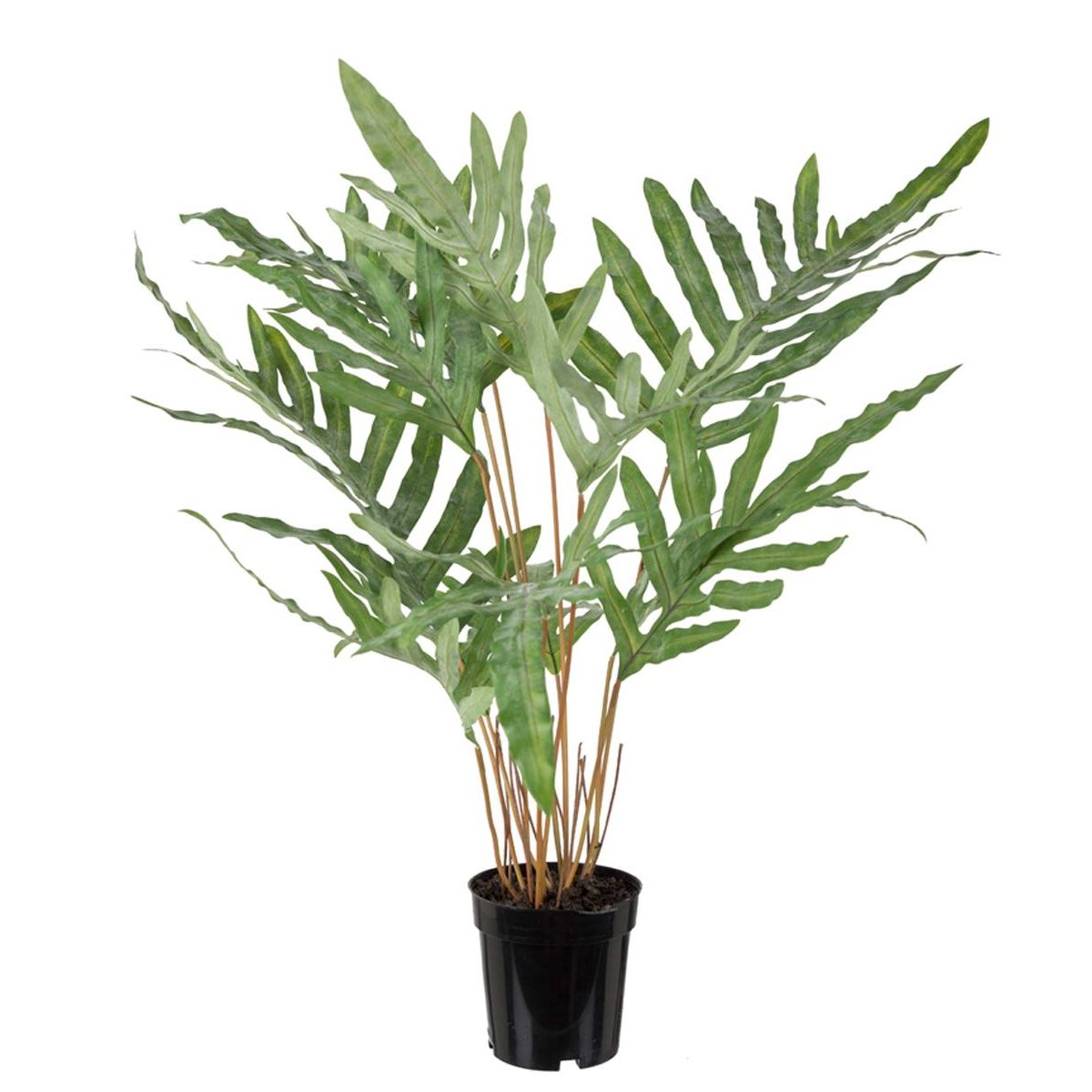 Fougère polypode artificielle H 75 cm, D 63 vert, ARTIFICIELLES