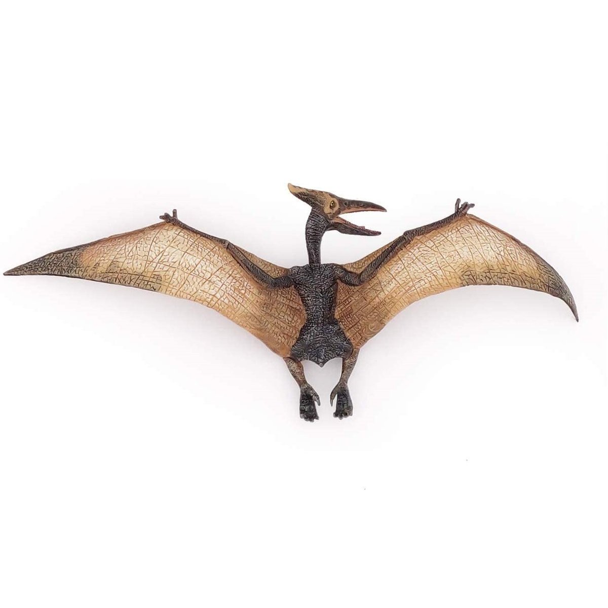 Figurine Ptéranodon marron, PAPO