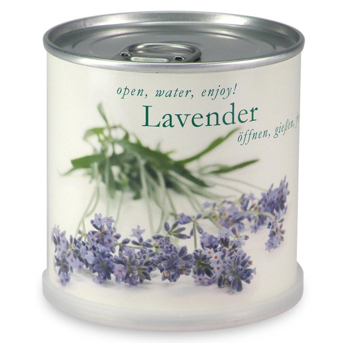 Lavande à faire pousser en boite couleur unique, MAC FLOWERS