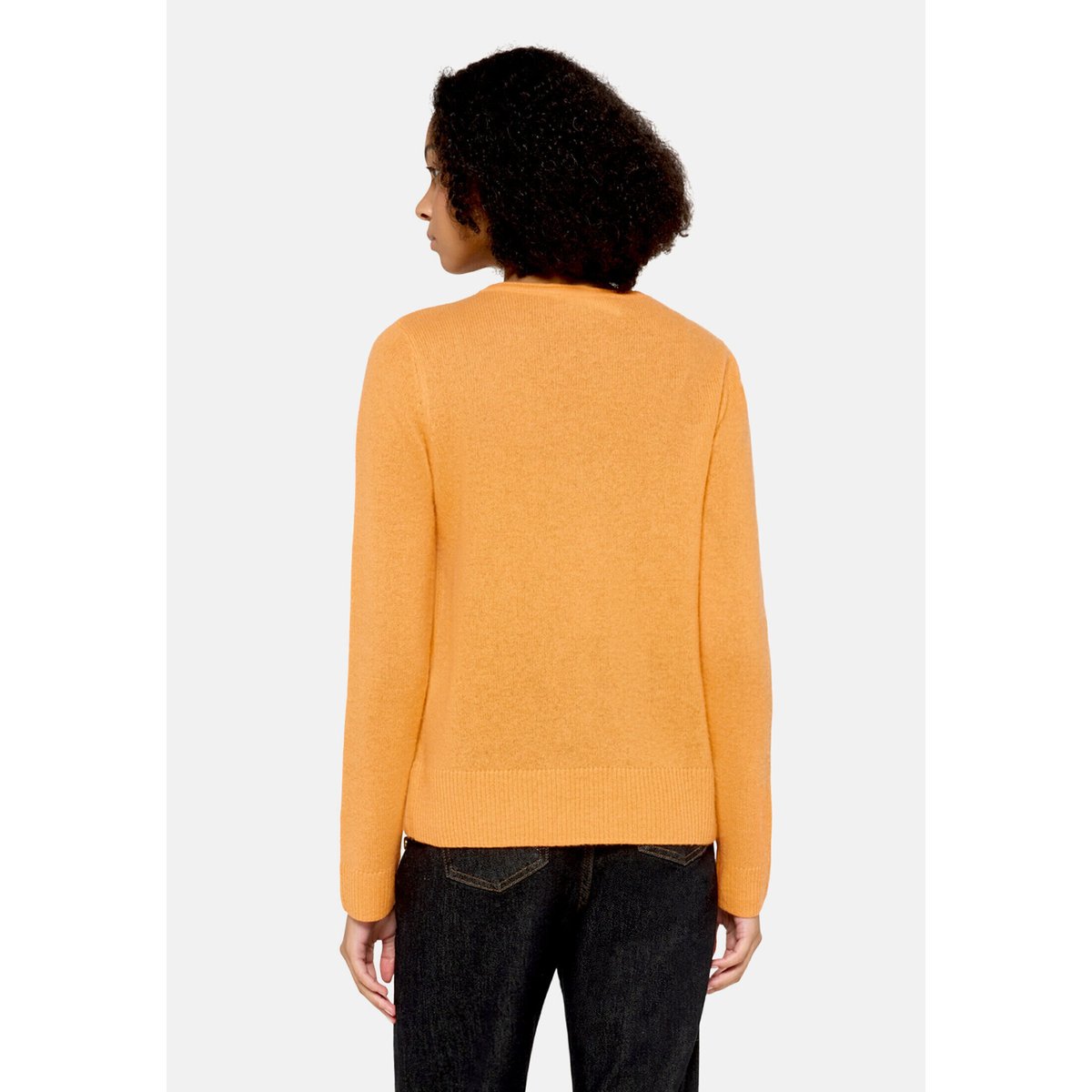 Pull en cachemire à encolure ronde bird of paradise, CARTOON