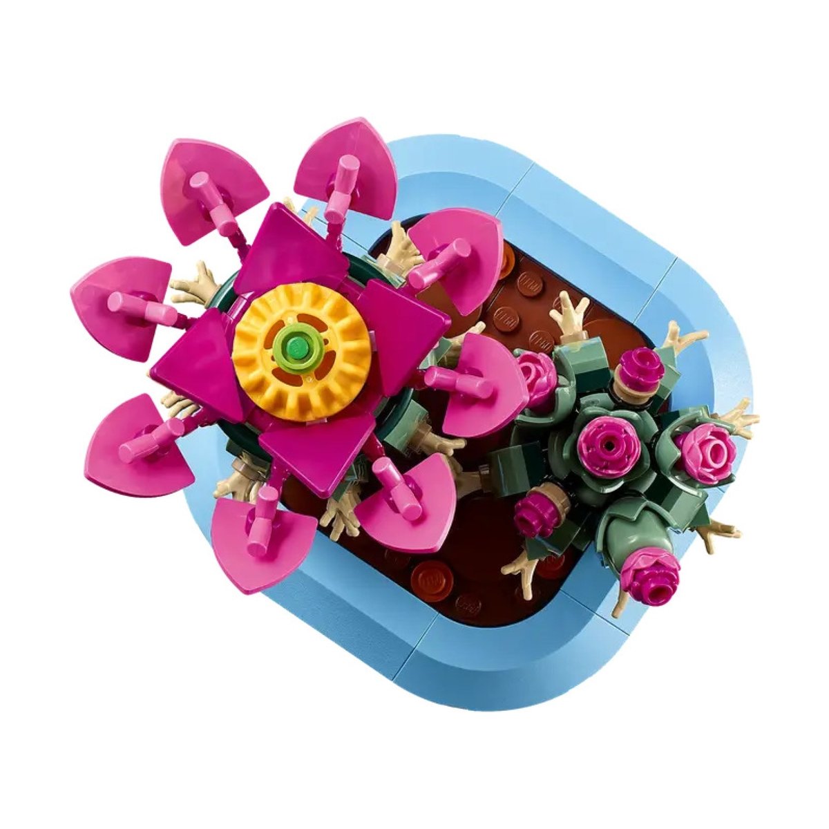 LEGO Botanical Collection - Cactus fleuri - 11509 multicolore, LEGO