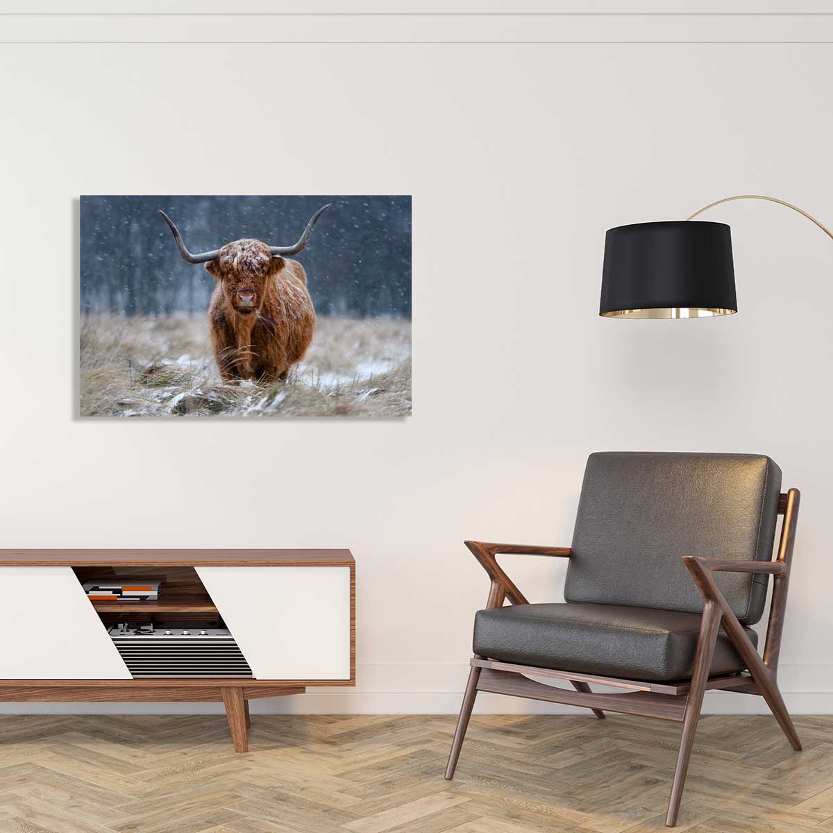 Tableau Vache Highland tableau alu dibond, HEXOA