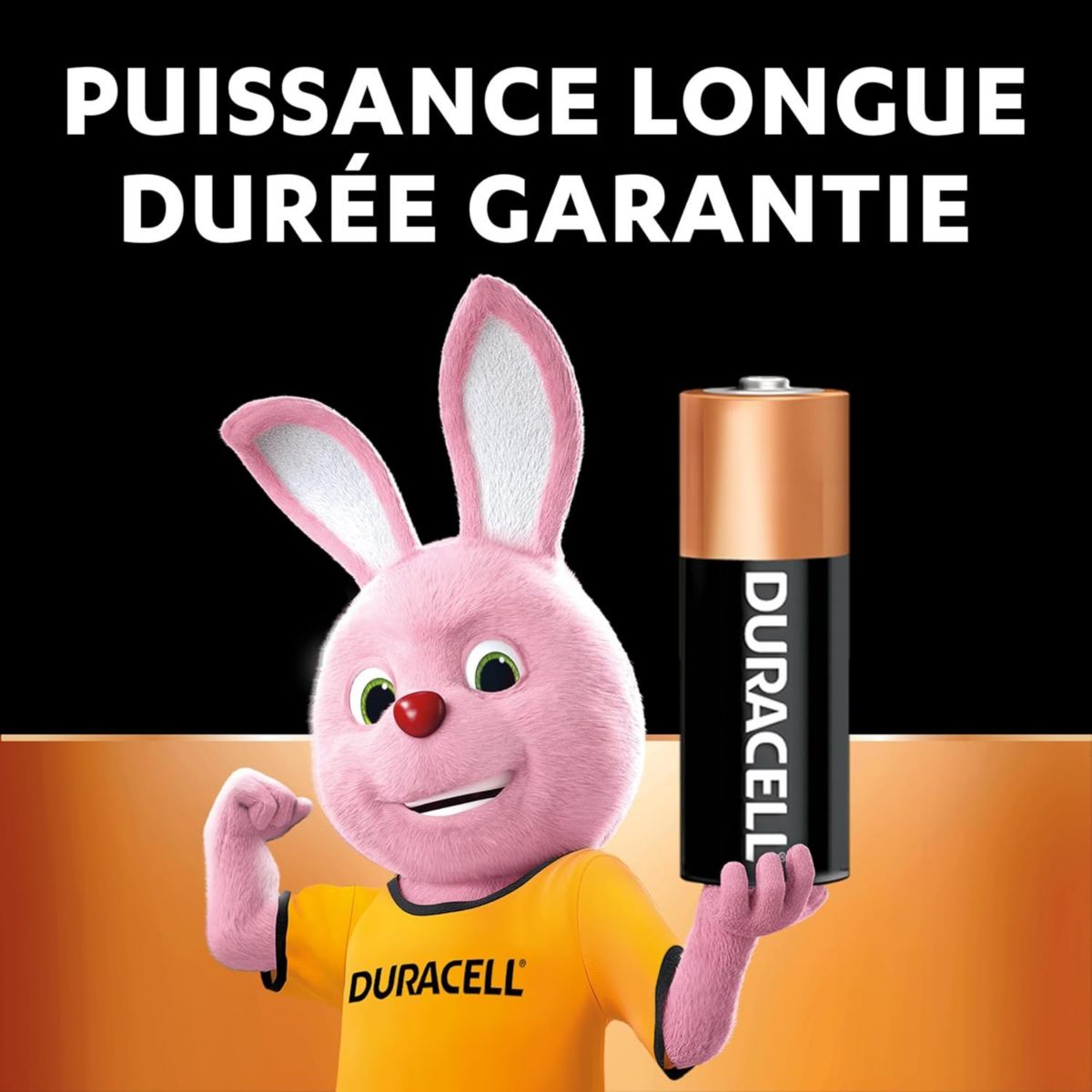 Pile MN21 2 piles A23 couleur unique, DURACELL