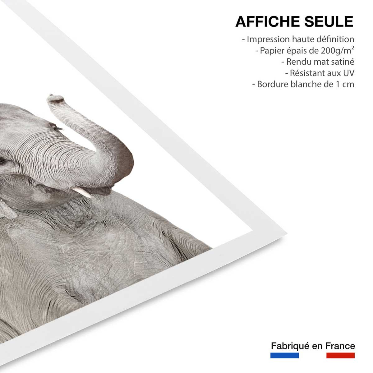 Affiche enfant bébé élephant affiche seule, HEXOA