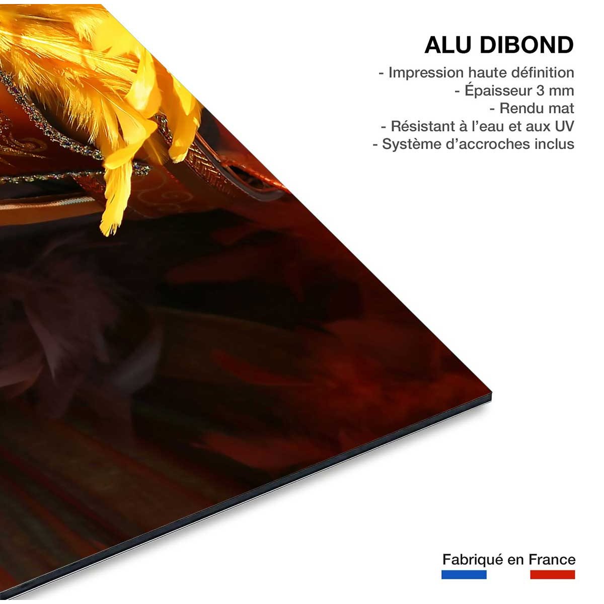 Tableau monde carnaval de venise tableau alu dibond, HEXOA